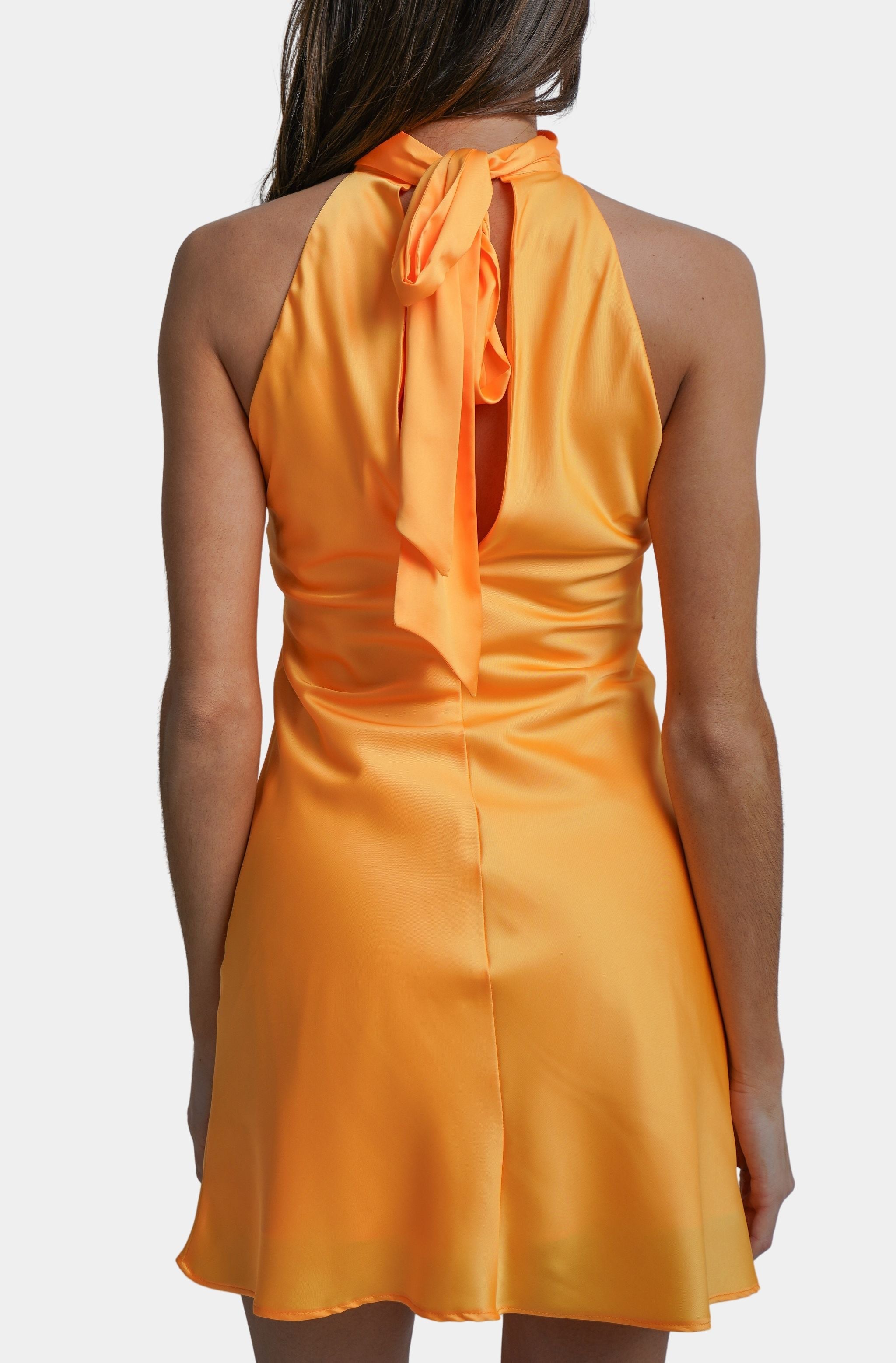 Coco Mini Dress