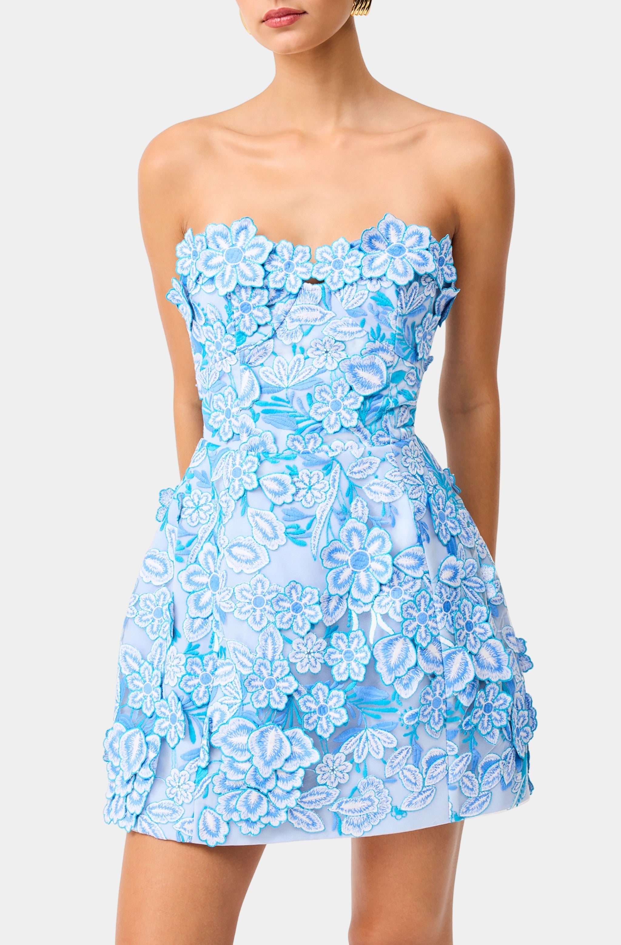 Roseate Mini Dress