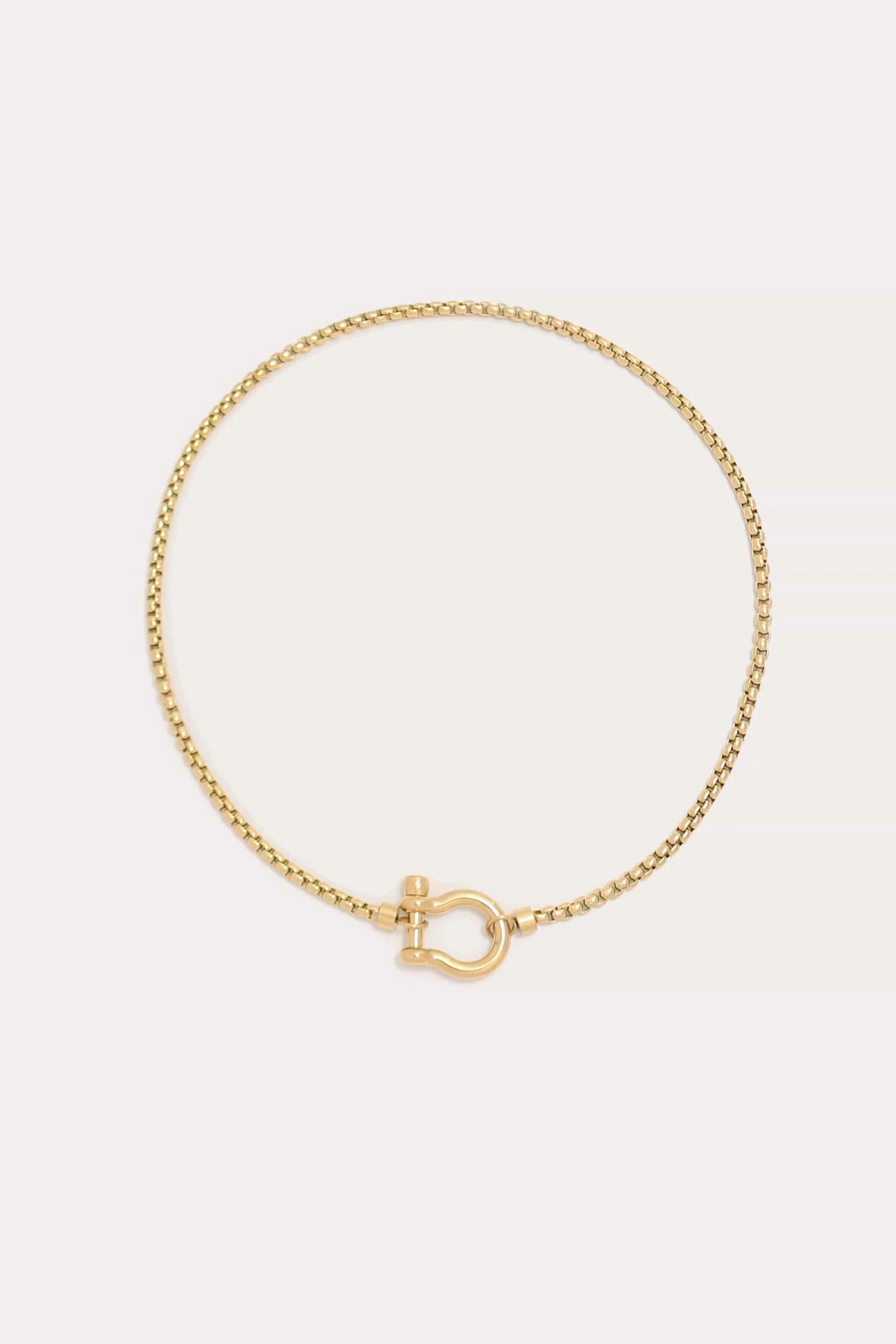 Chunky Carabiner Necklace