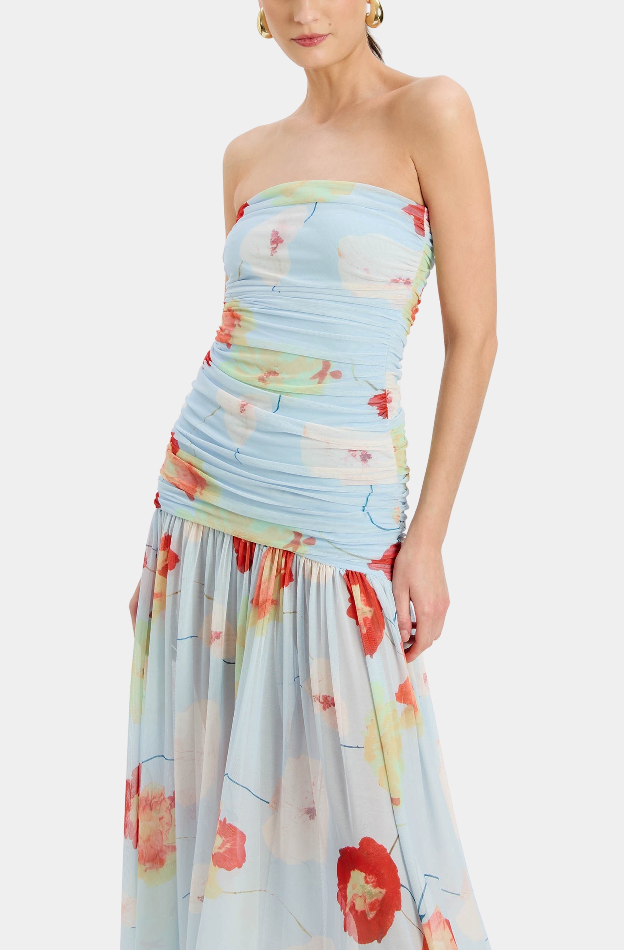 Solana Printed Mesh Maxi Dress