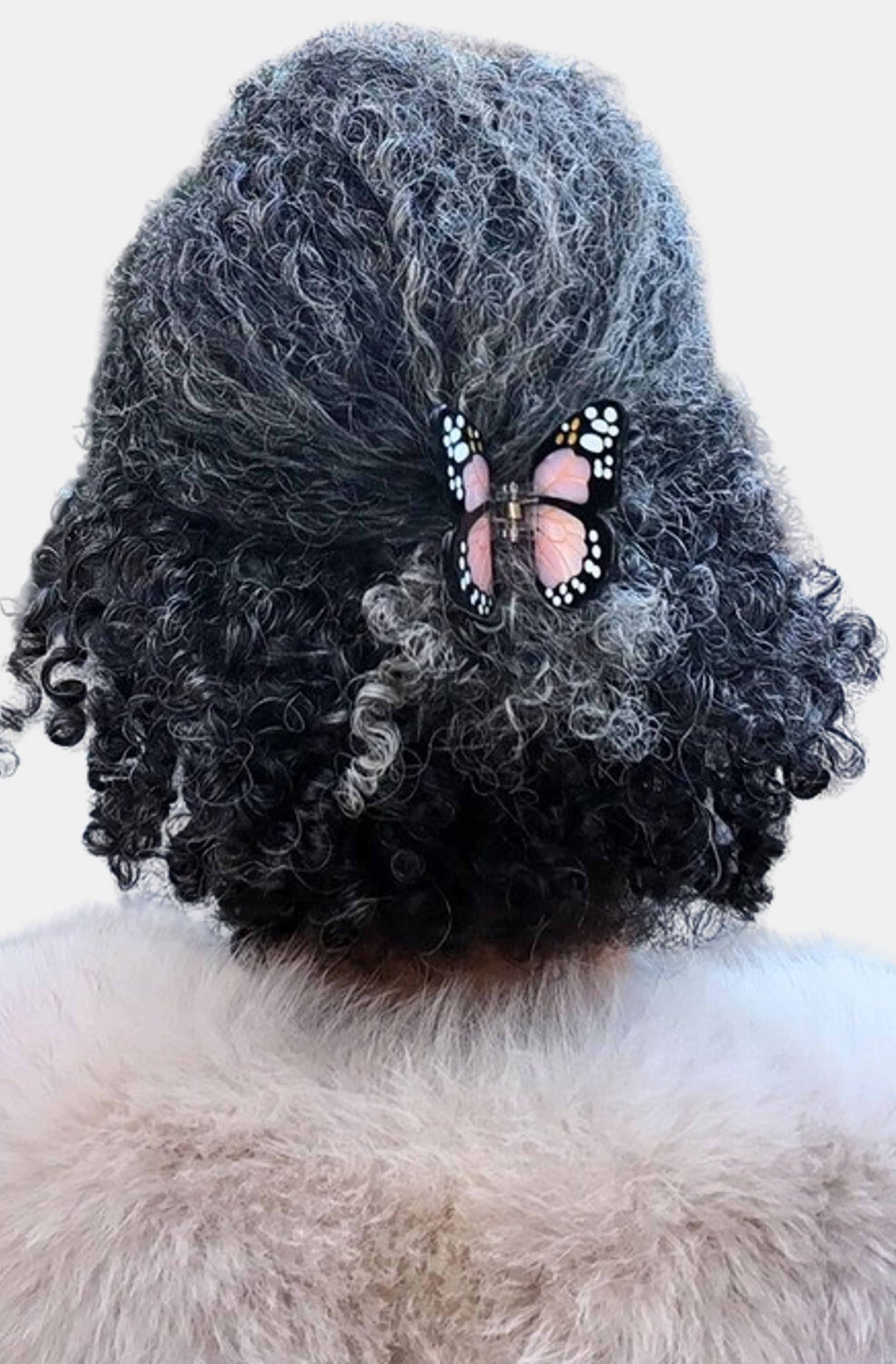 Hand-Painted Mini Monarch Claw Hair Clip